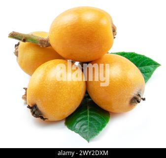 Loquats Früchte mit grünen Blättern isoliert auf weißem Hintergrund. Stockfoto