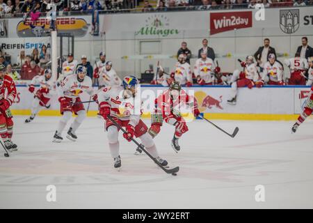 EV Red Bull Salzburg vs HCB Südtirol Alperia am 02.04.2024 in Salzburg Österreich Stockfoto