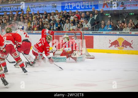 EV Red Bull Salzburg vs HCB Südtirol Alperia am 02.04.2024 in Salzburg Österreich Stockfoto