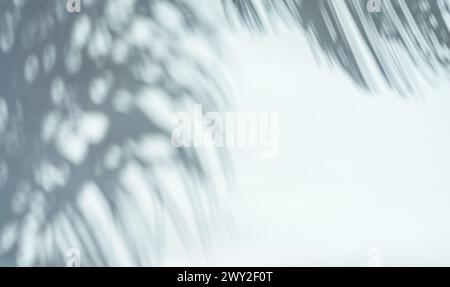 Verschwommener Schatten tropischer Palmenblätter auf grauem Hintergrund. Sommerkonzept. Stockfoto
