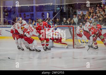 EV Red Bull Salzburg vs HCB Südtirol Alperia am 02.04.2024 in Salzburg Österreich Stockfoto