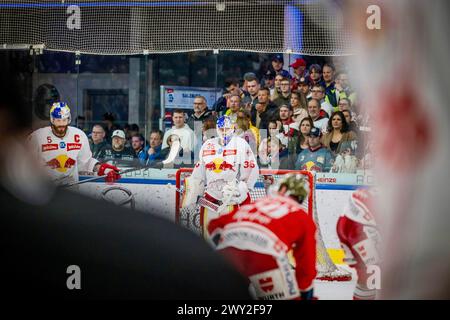 EV Red Bull Salzburg vs HCB Südtirol Alperia am 02.04.2024 in Salzburg Österreich Stockfoto