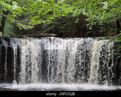 Die Oneida Falls stürzen durch den Ricketts Glen State Park in Benton, Pennsylvania. Stockfoto