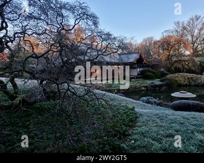 Im Shofuso Japanese House im Fairmount Park in Philadelphia, PA, liegt Frost über dem Laub. Stockfoto