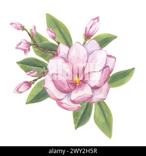 Rosa Magnolie, Pfingstrose. Zweig mit Blume, Knospen, Blättern. Blühende Blumenklipsel. Handgezeichnete Aquarellillustration isolierter Hintergrund. Botanik Stockfoto