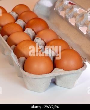 Stillleben von Karton mit frischen braunen Eiern, 2024, USA Stockfoto