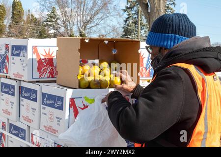 Detroit, Michigan - kostenlose Nahrung wird an Menschen verteilt, die an einer Gemeindegesundheitsmesse teilnehmen. Ein Mitarbeiter packt Orangen zur Verteilung. Stockfoto