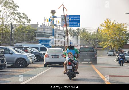 THAILAND, 23. März 2024, Ein Mann und ein Mädchen transportieren lange Bambusstangen auf einem Motorrad Stockfoto