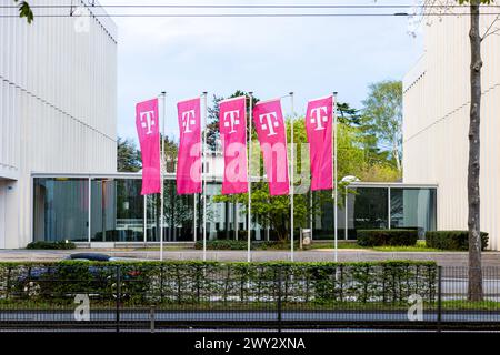 Das Logo vom Weltkonzern Deutsche Telekom AG, auf Fahnenmasten an der Friedrich Ebert Allee in Bonn. 03.04.2024 Bonn Gronau NRW Deutschland *** das Logo des Weltkonzerns Deutsche Telekom AG, auf Fahnenmasten auf der Friedrich Ebert Allee in Bonn 03 04 2024 Bonn Gronau NRW Deutschland Copyright: XBonn.digitalx/xMarcxJohnx Stockfoto