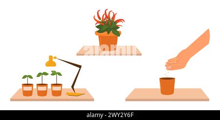 Das Konzept des Eigenanbaus von Frischgemüse. Selbstgemachtes Bio-Gemüse. Stadtgarten. Vektorabbildung. Stock Vektor