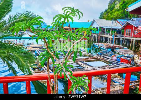 Die Stelzenhäuser und Fischfarmen des schwimmenden Dorfes Ko Panyi mit üppig grünen Palmen und Plumeriebräuchern im Vordergrund, Phang Nga Bay, Thailand Stockfoto