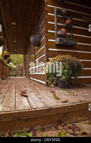 Lange alte und abgenutzte, braun gebeizte Veranda mit umgestürzten Baumblättern und gelben Blumen im Container und einem Schaukelstuhl aus Kiefernholz an der Fassade Stockfoto