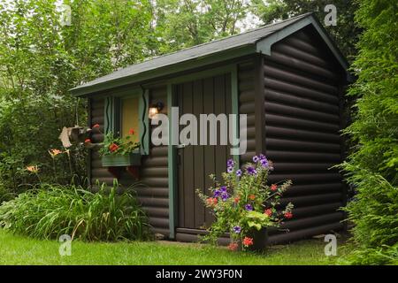 Braun lackiertes D-Log-förmiges Blockhaus-Gartenhäuschen mit rotem Pelargonium, Geranien in Blumenkasten, umgeben von orange Hemerocallis Stockfoto