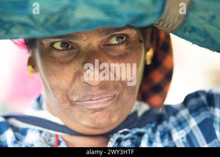 Indische Teepflückerin mit einer großen Tüte Teeblätter auf dem Kopf, Porträt, Munnar, Kerala, Indien Stockfoto