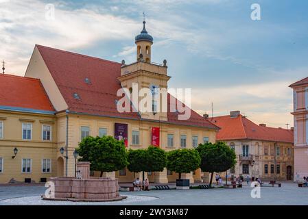 Blick auf das Archäologische Museum Osijek in Kroatien Stockfoto