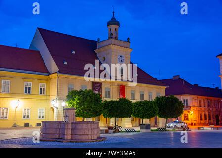 Blick auf den Sonnenuntergang des Archäologischen Museums Osijek in Kroatien Stockfoto