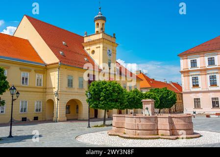 Blick auf das Archäologische Museum Osijek in Kroatien Stockfoto