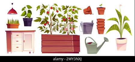 Gewächshausmöbel und Pflanzen auf weißem Hintergrund. Vektor-Karikaturillustration von Tomatensträuchern, die in Holzkiste wachsen, grünes Gras im Blumentopf, Tontöpfe stapeln, Metalleimer, Gießer Stock Vektor