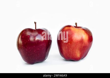 Zwei Äpfel der Sorte Red Delicious (Red Chief) auf weißem Hintergrund isoliert Stockfoto