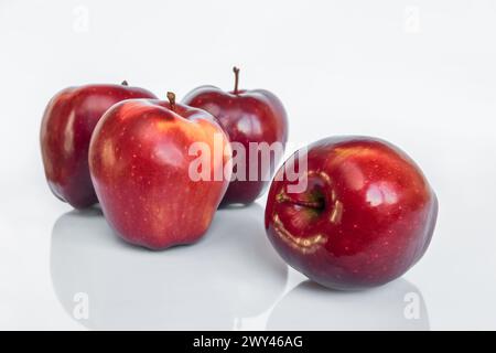 Vier rote köstliche Äpfel (Roter Häuptling), wobei der nächste auf der Seite liegt, isoliert auf einem weißen Hintergrund mit Reflexion Stockfoto