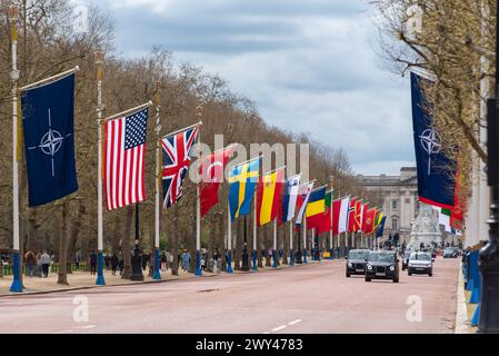 Feier zum 75-jährigen Jubiläum der NATO in der Mall, London, Großbritannien. Flaggen der Mitgliedstaaten, die fliegen. NATO-Emblem, USA, Großbritannien, Türkei, Schweden, Spanien Stockfoto