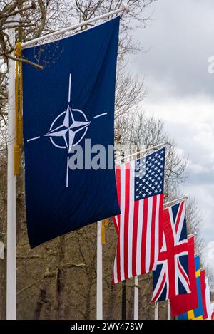 Feier zum 75-jährigen Jubiläum der NATO in der Mall, London, Großbritannien. Flaggen der Mitgliedstaaten, die fliegen. NATO-Emblem, Flagge der USA, Großbritannien Stockfoto
