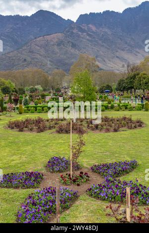 Nishat Bagh, Terrassenmogul-Garten, 17. Jahrhundert, Srinagar, Kaschmir, Indien Stockfoto