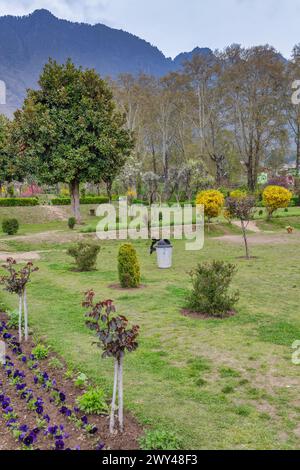 Nishat Bagh, Terrassenmogul-Garten, 17. Jahrhundert, Srinagar, Kaschmir, Indien Stockfoto