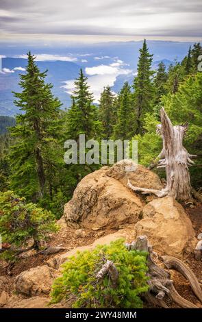 Lake Cushman vom Mount Ellinor im Olympic National Forest im US-Bundesstaat Washington Stockfoto