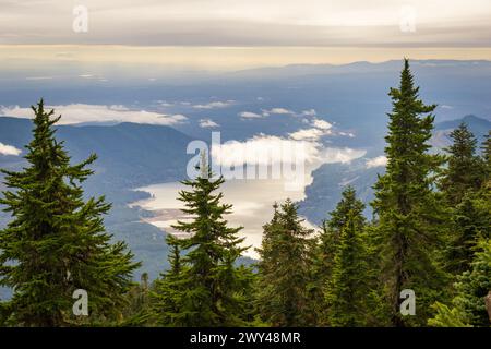 Subalpine Tannen umrahmen einen hohen Ausblick auf den Lake Cushman unter niedrigen Wolken zwischen bewaldeten Bergrücken, vom Mount Ellinor, Olympic National Forest, Washington. Stockfoto