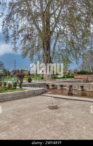 Shalimar Bagh, Mogul-Garten, 17. Jahrhundert, Srinagar, Kaschmir, Indien Stockfoto