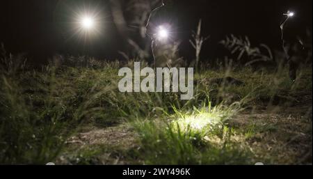 Detective, Suchtrupp und Taschenlampe bei Nacht im Feld, vermisste Person und Ermittlung der Polizei. Tatort, Outdoor und taktisches Team patrouillieren Stockfoto