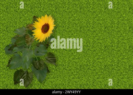 3D Abbildung. Frühling Sommer. Blumen, blühen auf grünem Gras Textur. Grasfeld Hintergrund mit bunten Blumen Stockfoto