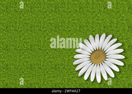 3D Abbildung. Frühling Sommer. Blumen, blühen auf grünem Gras Textur. Grasfeld Hintergrund mit bunten Blumen Stockfoto