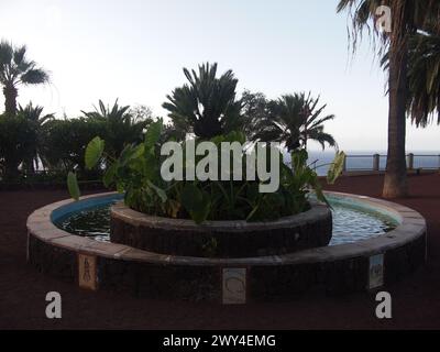 Mirador Dulce Maria Loynaz (Puerto de la Cruz, Teneriffa, Kanarische Inseln, Spanien) Stockfoto