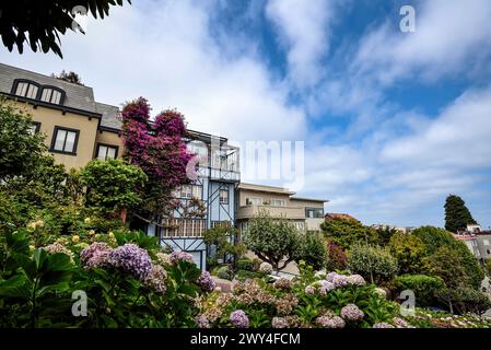 Farbenfrohe Häuser und Blumen der Lombard Street - San Francisco, Kalifornien Stockfoto