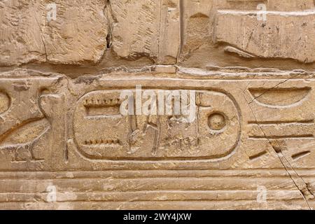 Das alte Ägypten Hieroglyphen auf dem Stein gehauen in der Karnak Tempel, Luxor Stockfoto
