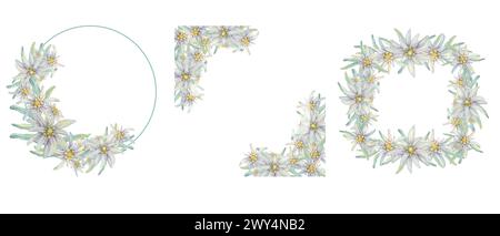 Set aus quadratischen Rahmen mit alpinem Edelweiß. Handgezeichnetes Wildblumenaquarell Clipart, rustikaler Stil, helle Farben. Hochzeitsdesign-Vorlagen für Karten, Einladungen, Druck isoliert auf weißem Hintergrund Stockfoto