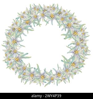 Runder Kranz aus Edelweiß-Blüten. Handgezeichnetes Clipart in Aquarellfarben, minimalistischer Blumenstil in Pastellfarben. Designvorlage für Postkarte, Einladung, Druck, Hochzeiten, isoliert auf weißem Hintergrund Stockfoto