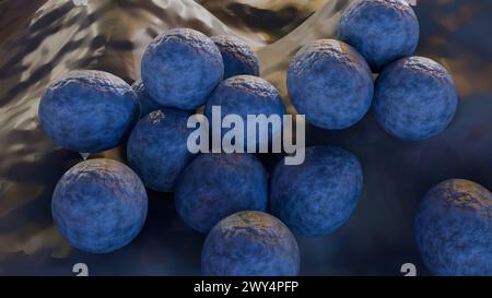 3D-Rendering von MRSA steht für Methicillin-resistente Staphylococcus aureus, eine Art von Bakterien, die gegen mehrere Antibiotika resistent sind Stockfoto