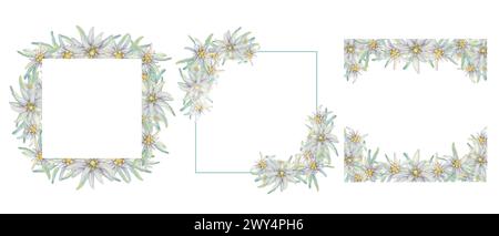 Set aus quadratischen Rahmen mit alpinem Edelweiß. Handgezeichnetes Wildblumenaquarell Clipart, rustikaler Stil, helle Farben. Hochzeitsdesign-Vorlagen für Karten, Einladungen, Druck isoliert auf weißem Hintergrund Stockfoto