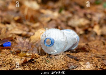 Plastikflasche, die in heruntergefallenen Blättern im Wald weggeworfen wird, schadet der Umwelt Stockfoto