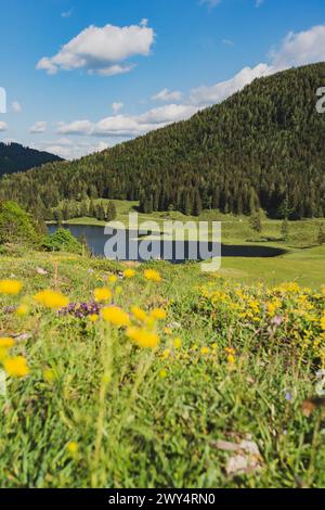 Der Seewaldsee mit Blumenwiese am Fuße des Trattberges am 01.06.2020. // der Seewaldsee mit Blumenwiese am Fuße des Trattbergs am 1. Juni 2020. - 20200601 PD13526 Credit: APA-defacto Datenbank und Contentmanagement GmbH/Alamy Live News Stockfoto