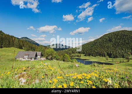 Der Seewaldsee mit Blumenwiese am Fuße des Trattberges am 01.06.2020. // der Seewaldsee mit Blumenwiese am Fuße des Trattbergs am 1. Juni 2020. - 20200601 PD13522 Credit: APA-defacto Datenbank und Contentmanagement GmbH/Alamy Live News Stockfoto