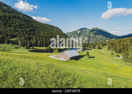 Der Seewaldsee mit Blumenwiese am Fuße des Trattberges am 01.06.2020. // der Seewaldsee mit Blumenwiese am Fuße des Trattbergs am 1. Juni 2020. - 20200601 PD13530 Credit: APA-defacto Datenbank und Contentmanagement GmbH/Alamy Live News Stockfoto