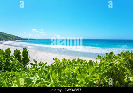 Petite Anse Beach liegt im Osten der Insel La Digue. Stockfoto