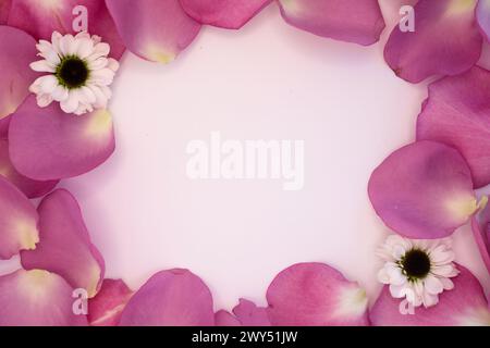 Rosafarbene Blüten umschließen ein weißes Quadrat mit weißen Gänseblümchen an der Grenze Stockfoto