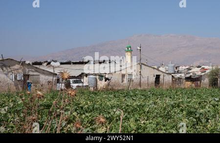 Flüchtlingslager im Bekaa-Tal im Libanon nahe der syrischen Grenze. Hunderttausende Syrer sind hier vor dem Krieg in ihrem Land geflohen. Stockfoto