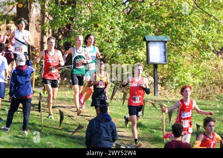 Wappingers Falls, New York, USA - 18. November 2023: High-School-Jungs laufen während einer 5-km-Weltmeisterschaft bergab. Stockfoto