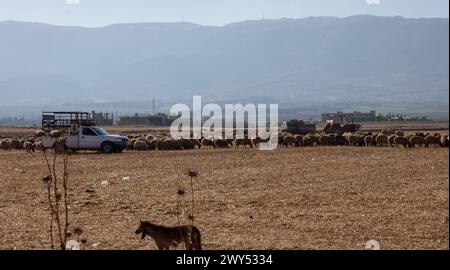 Flüchtlingslager im Bekaa-Tal im Libanon nahe der syrischen Grenze. Hunderttausende Syrer sind hier vor dem Krieg in ihrem Land geflohen. Stockfoto